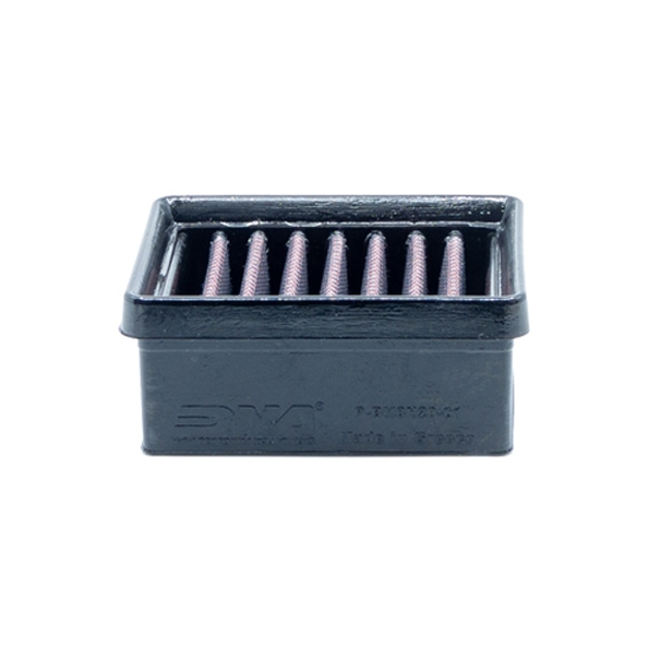 DNA Air Filter BMW 310 Series (16-20) PN: P-BM3N20-01