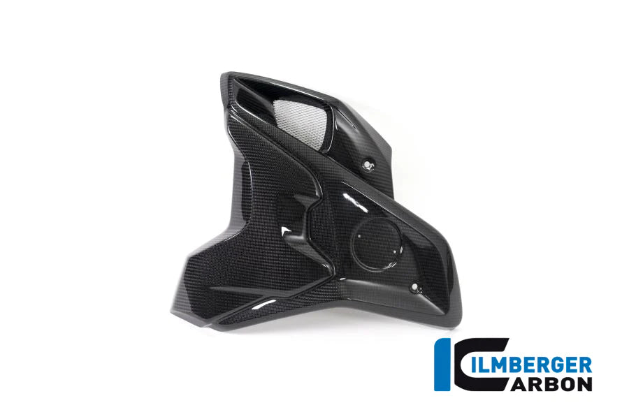 Aitrube Incl. Flaps for BMW R1250GS - Ilmberger Carbon