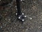 AltRider Side Stand Foot for the KTM 790/1050/1090/1190 Adventure / R (2014-current) - Black