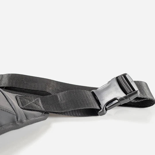 Carbonado Turtle