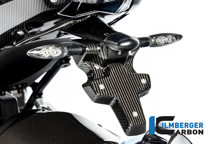 Number Plate Holder for BMW R1250R - Ilmberger Carbon