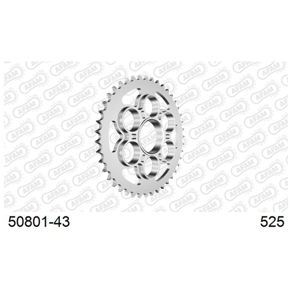Afam Ducati Diavel 1260 Sprockets