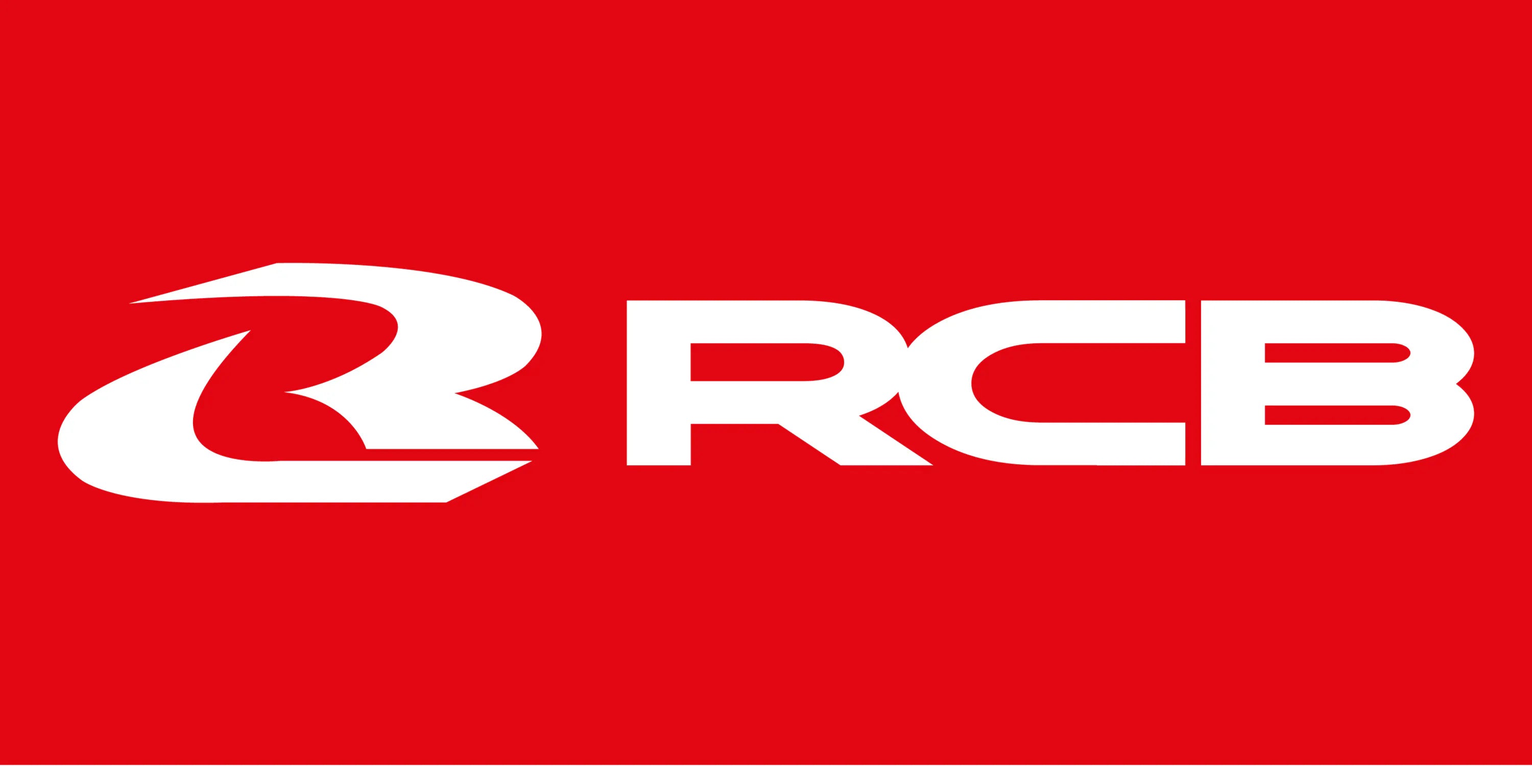 RCB Brake Pads – bikersdnaindia