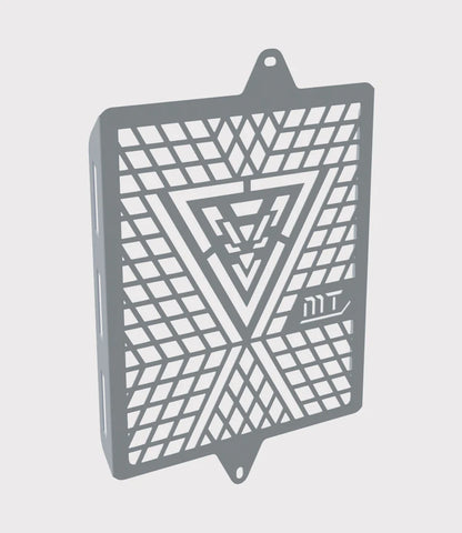 MOTO TORQUE TRIUMPH SPEED 400 - RADIATOR GUARD (SS)
