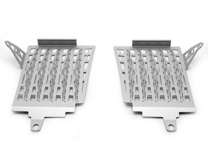AltRider Radiator Guard for the BMW R 1250 GS Adventure Water Cooled - Silver