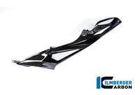 Carbon Tank Panels for BMW S1000RR/R (2014+) - Ilmberger Carbon