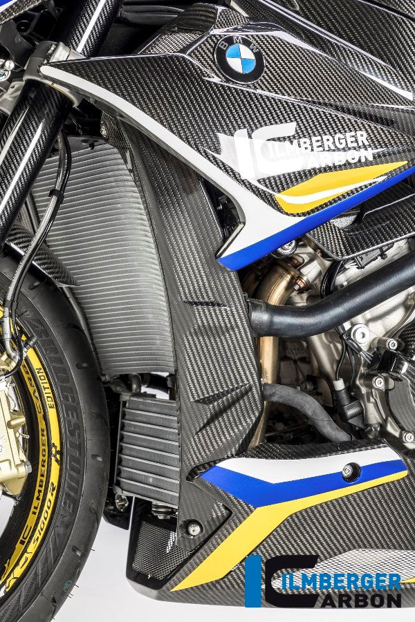 Carbon Radiator Cover for BMW S1000 R (2017+) - Ilmberger Carbon