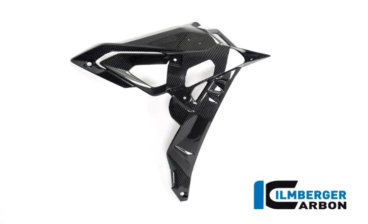 Carbon Radiator Cover for BMW S1000 R (2017+) - Ilmberger Carbon