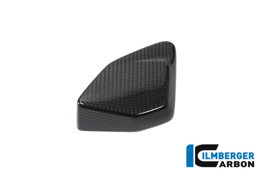 ESA Box Cover for BMW R1250GS/Adventure - Ilmberger Carbon