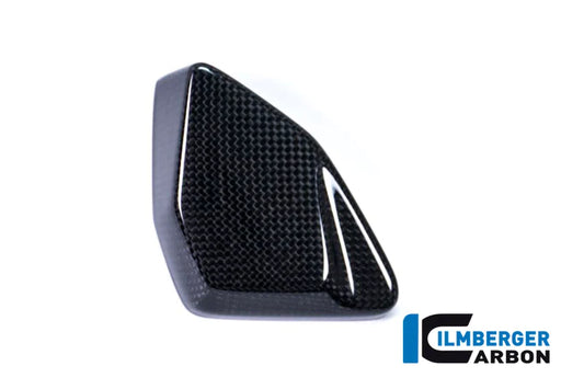 ESA Box Cover for BMW R1200GS LC - Ilmberger Carbon