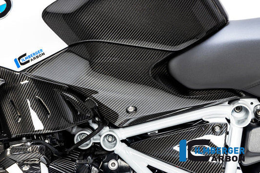 Tank Panels for BMW R1250R - Ilmberger Carbon