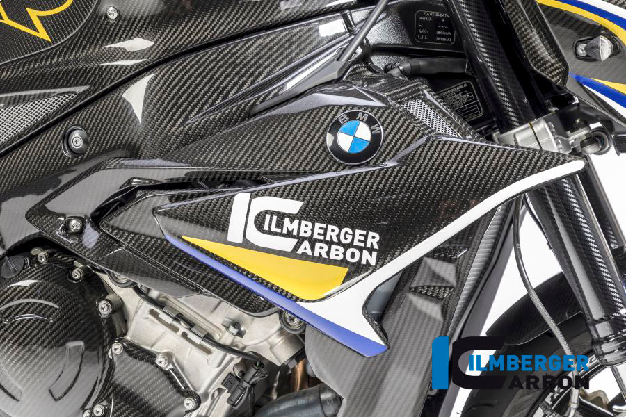 Carbon Side Panel Fairing for BMW S1000R (2017+) - Ilmberger Carbon
