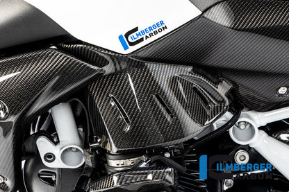 Lower Tank Panels for BMW R1250R - Ilmberger Carbon