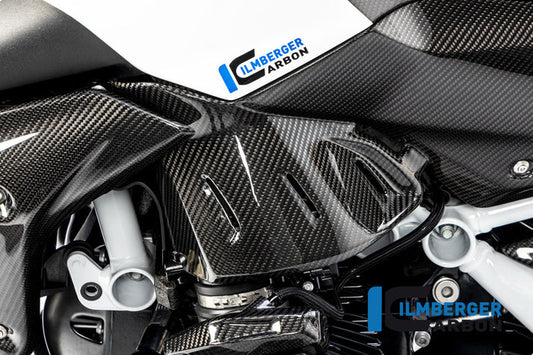 Lower Tank Panels for BMW R1250R - Ilmberger Carbon