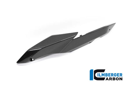 Seat Unit Panels for BMW R1250R - Ilmberger Carbon