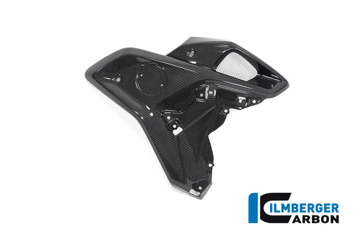 Carbon Airtube for OEM Stainless Steel for BMW R1250GS - Ilmberger Carbon