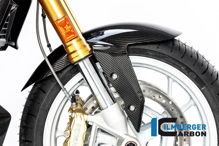 Front Fender for BMW R1250R - Ilmberger Carbon