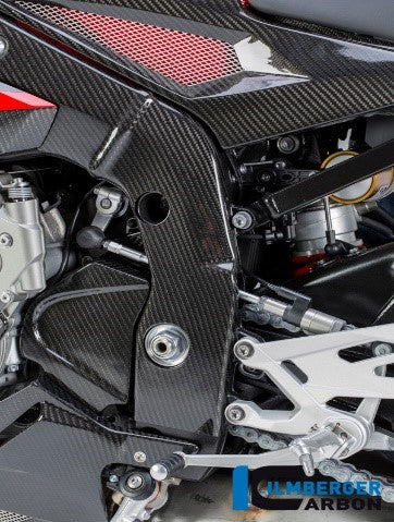 Front Sprocket Cover BMW S1000 R (2014+) - Ilmberger Carbon
