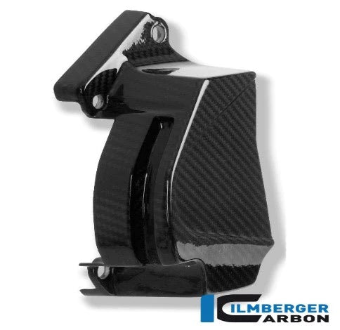 Front Sprocket Cover BMW S1000 R (2014+) - Ilmberger Carbon