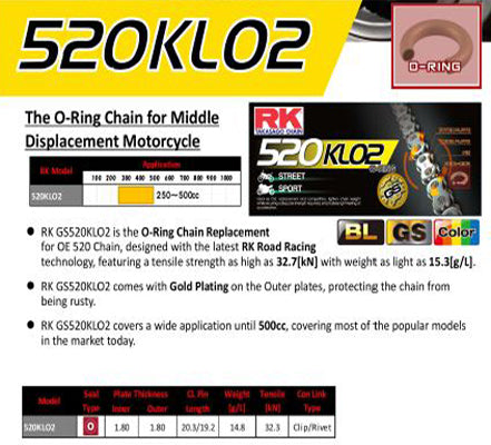 RK CHAIN AND SPROCKET BMW 310GS