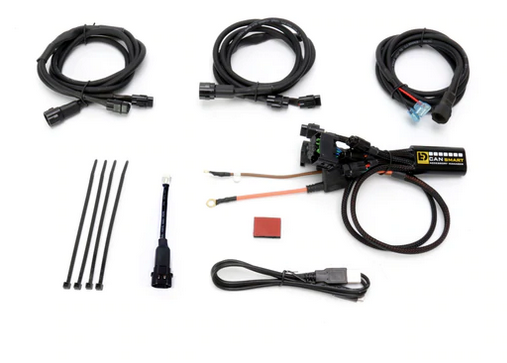 DENALI Plug-n-Play CANsmart Controller for BMW R1200 LC & R1250 Series – Gen II