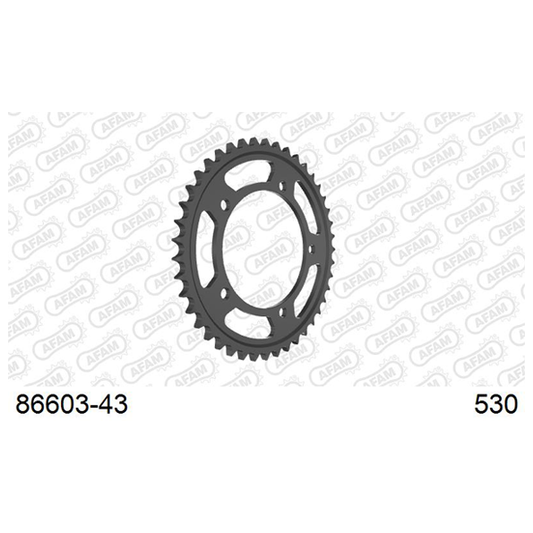 Afam Suzuki Hayabusa Sprockets